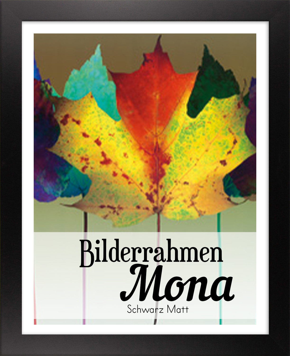 Mona 38 x 51 cm Bilderrahmen Homedeco 24 Holzwerkstoff Wahl Farbe Verglasung 