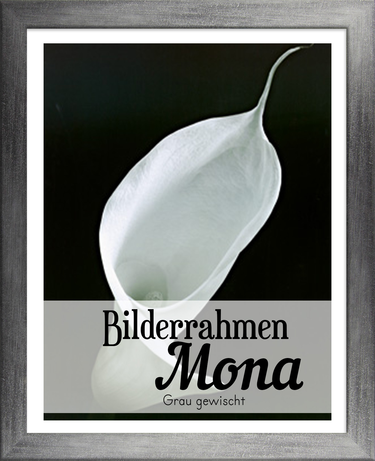 Mona 46 x 66,5 cm Bilderrahmen Homedeco 24 Holzwerkstoff Wahl Farbe Verglasung